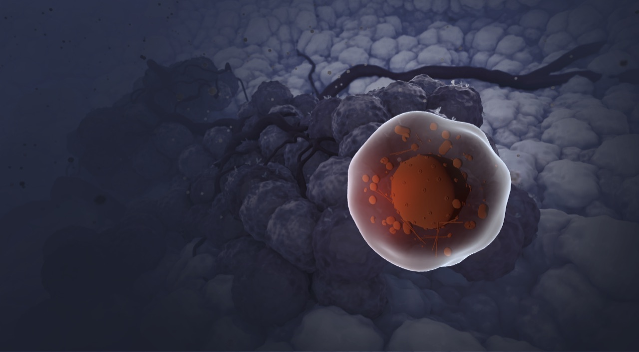 Interactive 3D cell visualization for 3DforScience