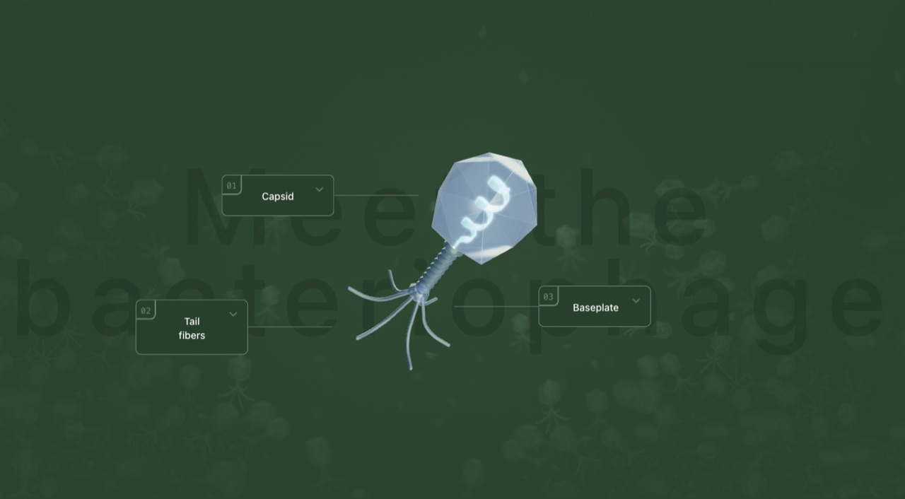 Phago — interactive 3D scientific visualization for 3DforScience